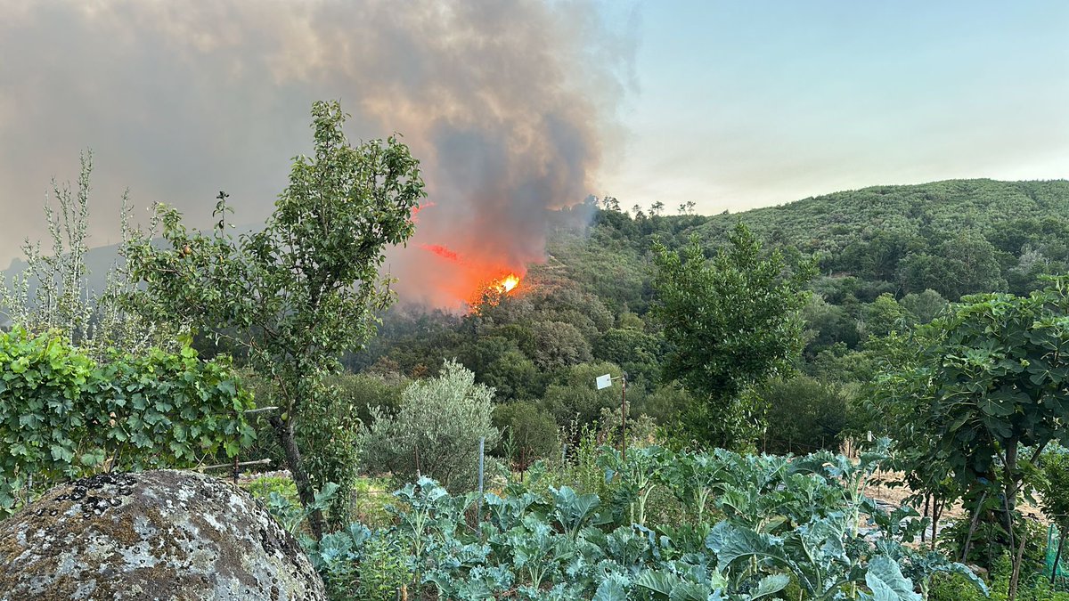 Before I go back on hiatus I just wanted to say thank you for all the kind words. My family is safe, and so are their homes. It was a close call, but the surrounding forests are torched. It will take a long time, but eventually I know it’ll regrow. It’s just sad to look at.