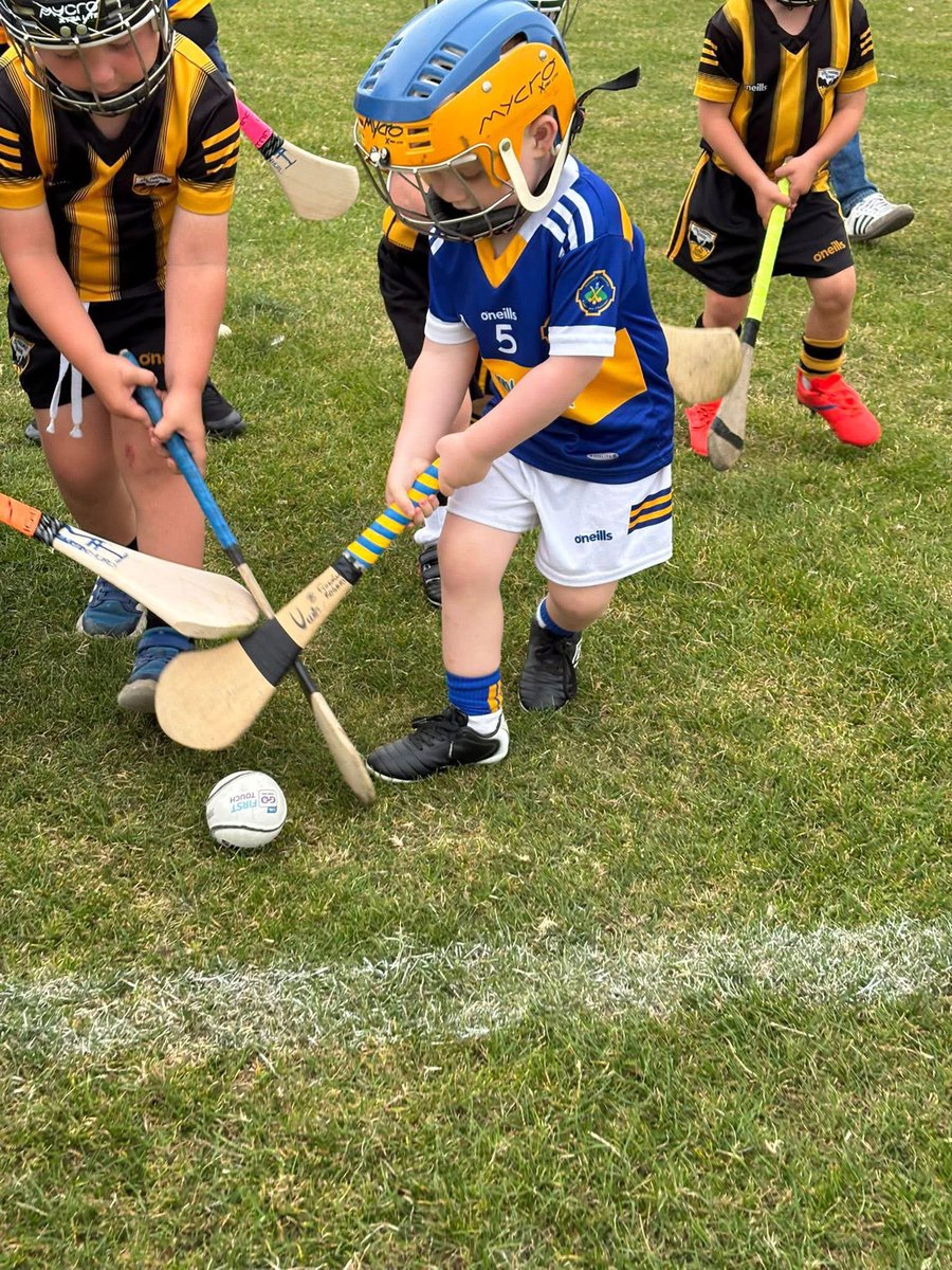 FergalHPO's tweet image. A great tactical setup that was executed perfectly 😂 #Fundamentals #Hurling