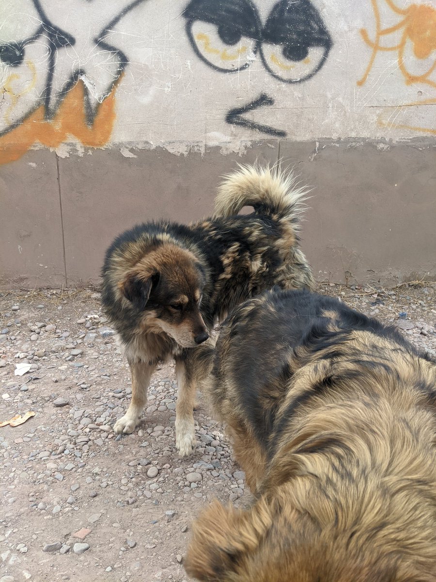 マチルダの兄弟なのかな