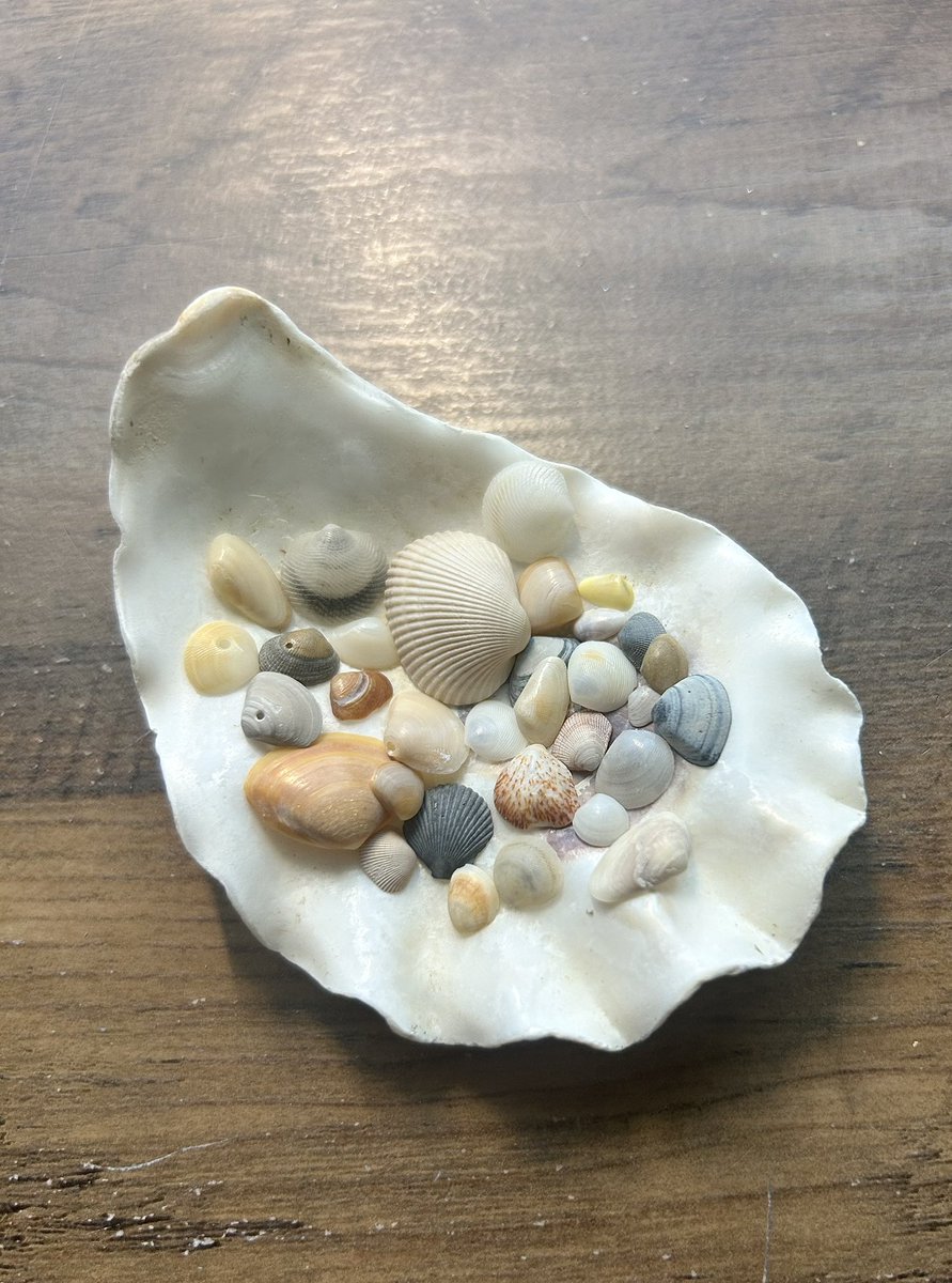 今年の夏は晴れた日にビーチ来れた事がないな笑　今日はちっちゃい貝いっぱい拾った🥰 another day at beach, we haven’t lucked out with single sunny day so far🤣 but it’s less crowded, so it’s ok😌