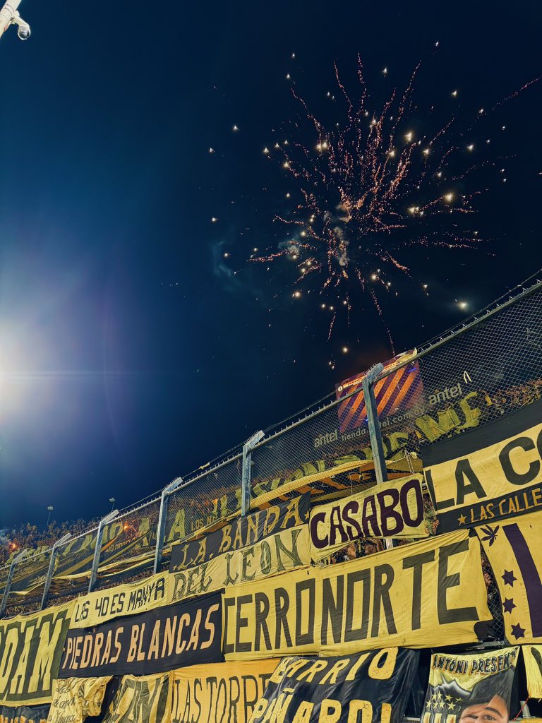 Jure ⚡️ tweet media