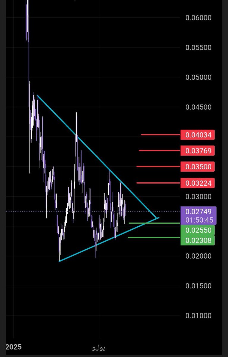 Crypto Whale tweet media