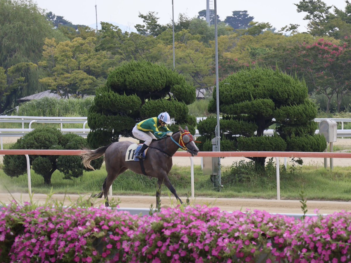 釜山競馬場

私が乗っていた時とジョッキーの顔ぶれは少し変わっていました。調教師になったり助手になったりと。

思い出の場所です。

#韓国競馬