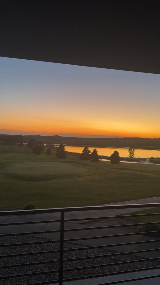 Corsica Horned Frogs tweet media