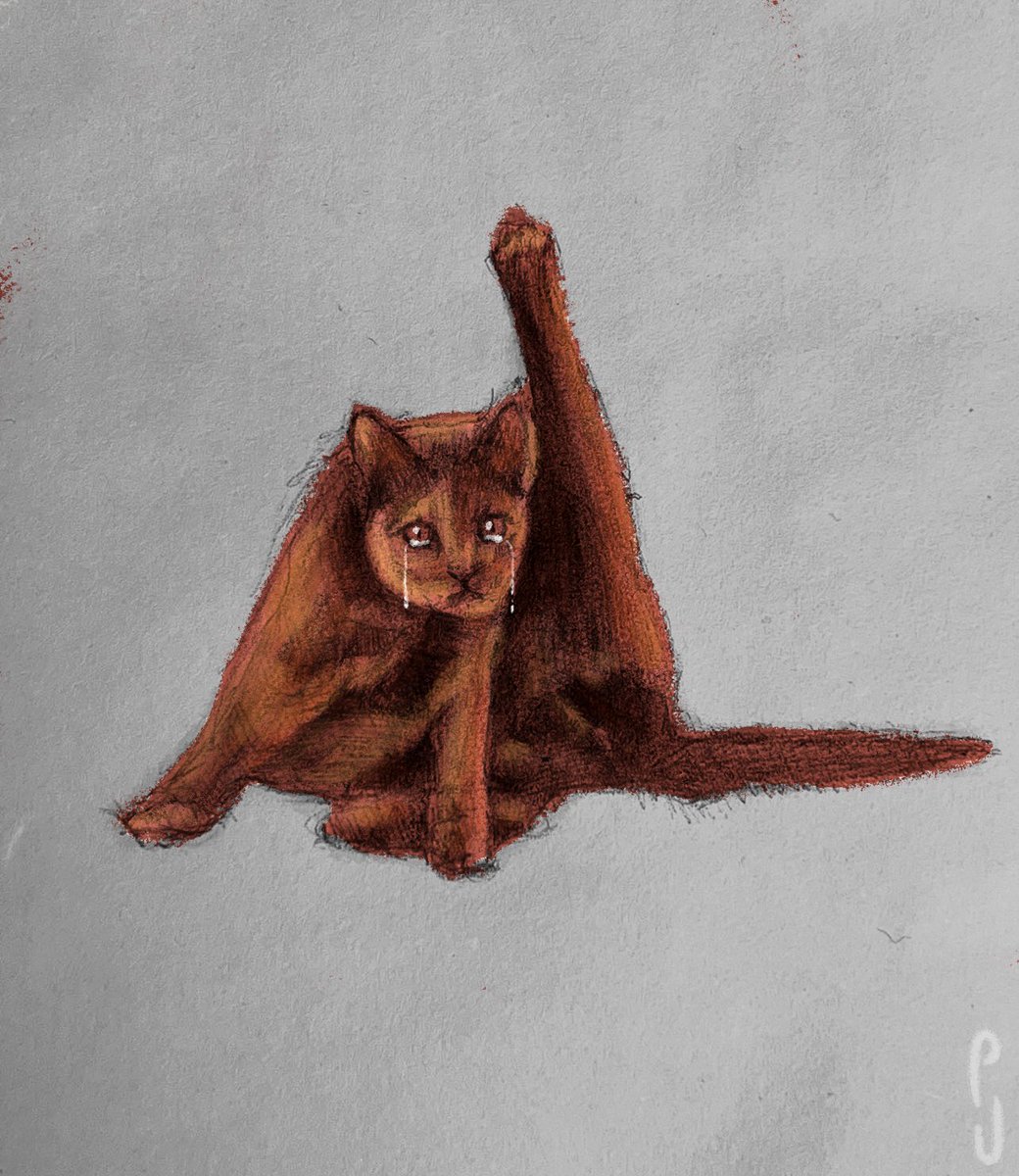 peter_devito's tweet image. Color study of a cat that wanted to be a yoga instructor, but was forced to be a house cat.