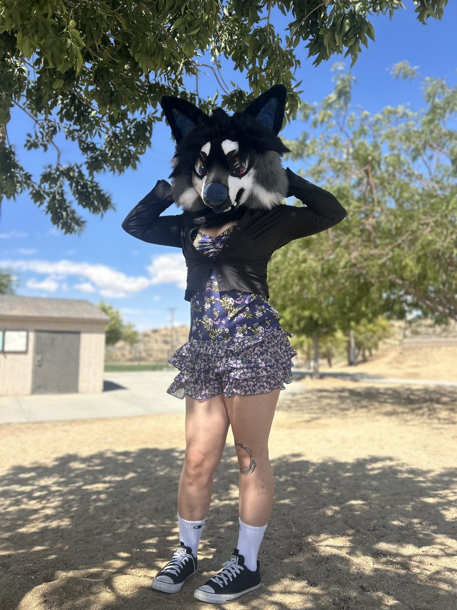 fttypanda's tweet photo. Little photo dump from today :D
#furry #fursuit #fursuiter https://t.co/gryVqIi58R