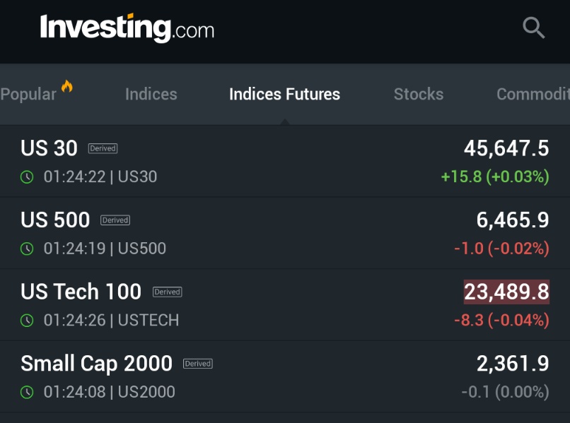 🚨 INVESTING : I futures azionari aprono stabili all'inizio della settimana.
