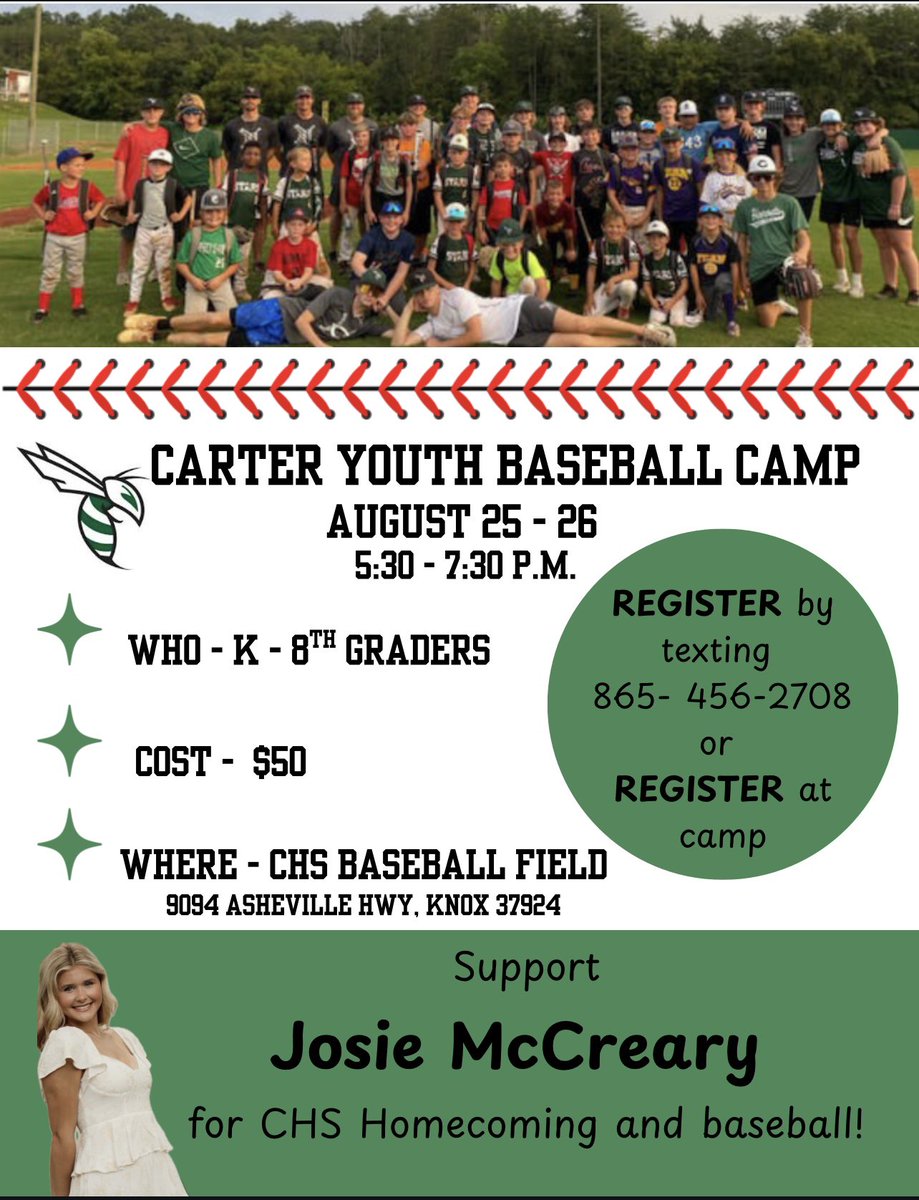 CarterHornetsBaseball tweet media