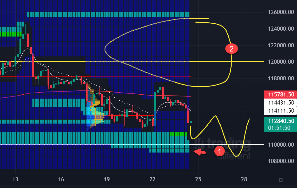 Liquidity Liquidated Down To 110.5k On Low Volume Sunday Market Makers Take Advantage
Even after a strong 3.5% rally from yesterday, put Bitcoin price back into the local range at 117k, it was not enough to push price to the range POC at 118k. Price quickly sold off and trended