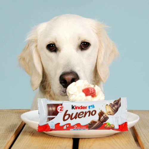 I just received Bueno Chocolate Bar (Donation) from OllieThePup3244 via Throne. Thank you so much! Daddy loves you ❤️ throne.com/daddydeep_audio #Wishlist #Throne