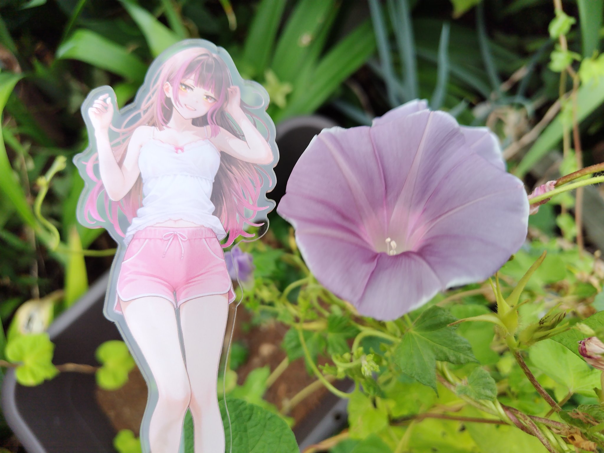 ❣️運気アップ❤蝶と花のパズル❤ Amazon.co.jp: ピースリラックス(PieceRelax): 名画シリーズ