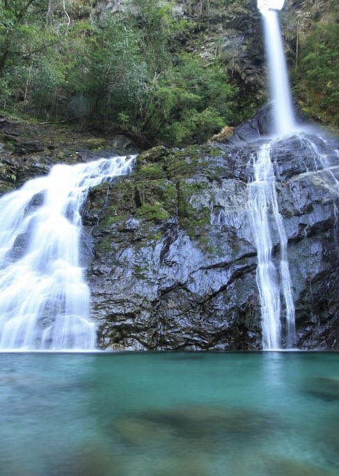 おはようございます