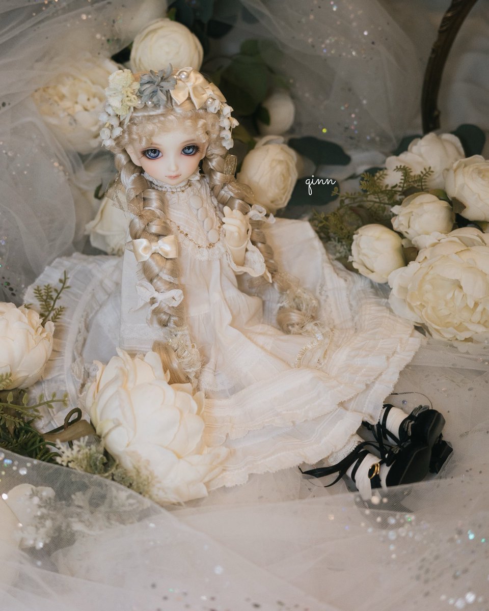 #うちのこかわいい 
#murmurcoco 
#aoihamilton