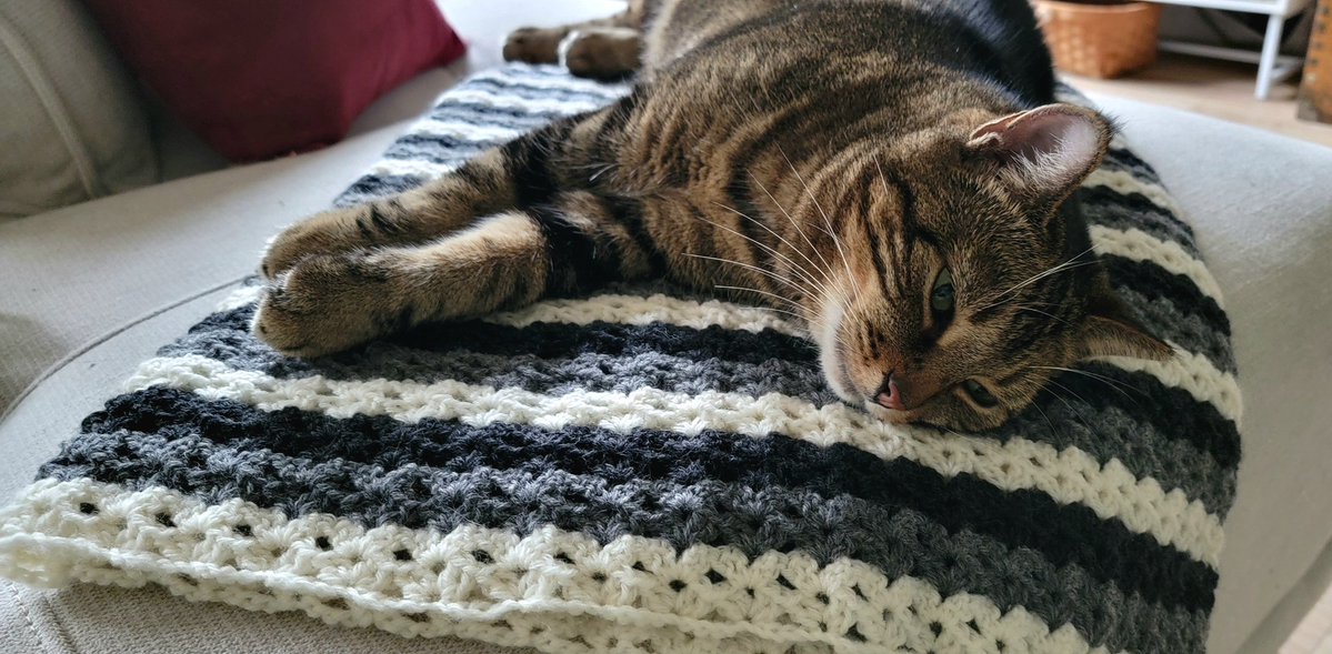 Sir Percival Fuzzyboots πΊπ¦ (@percyfuzzyboots) on Twitter photo When we got home there was a wonderful surprise waiting for us: a beautiful lap blanket handmade by the incomparable <a href="/SaMindy4/">SaMindy ππ€π€</a>, in Percival's fur colours. It immediately reminded me of my beloved brofur, so after looking for him, I took a rest on it
#CatsOfTwitter #SSCCHallOfFame When we got home there was a wonderful surprise waiting for us: a beautiful lap blanket handmade by the incomparable <a href="/SaMindy4/">SaMindy ππ€π€</a>, in Percival's fur colours. It immediately reminded me of my beloved brofur, so after looking for him, I took a rest on it
#CatsOfTwitter #SSCCHallOfFame