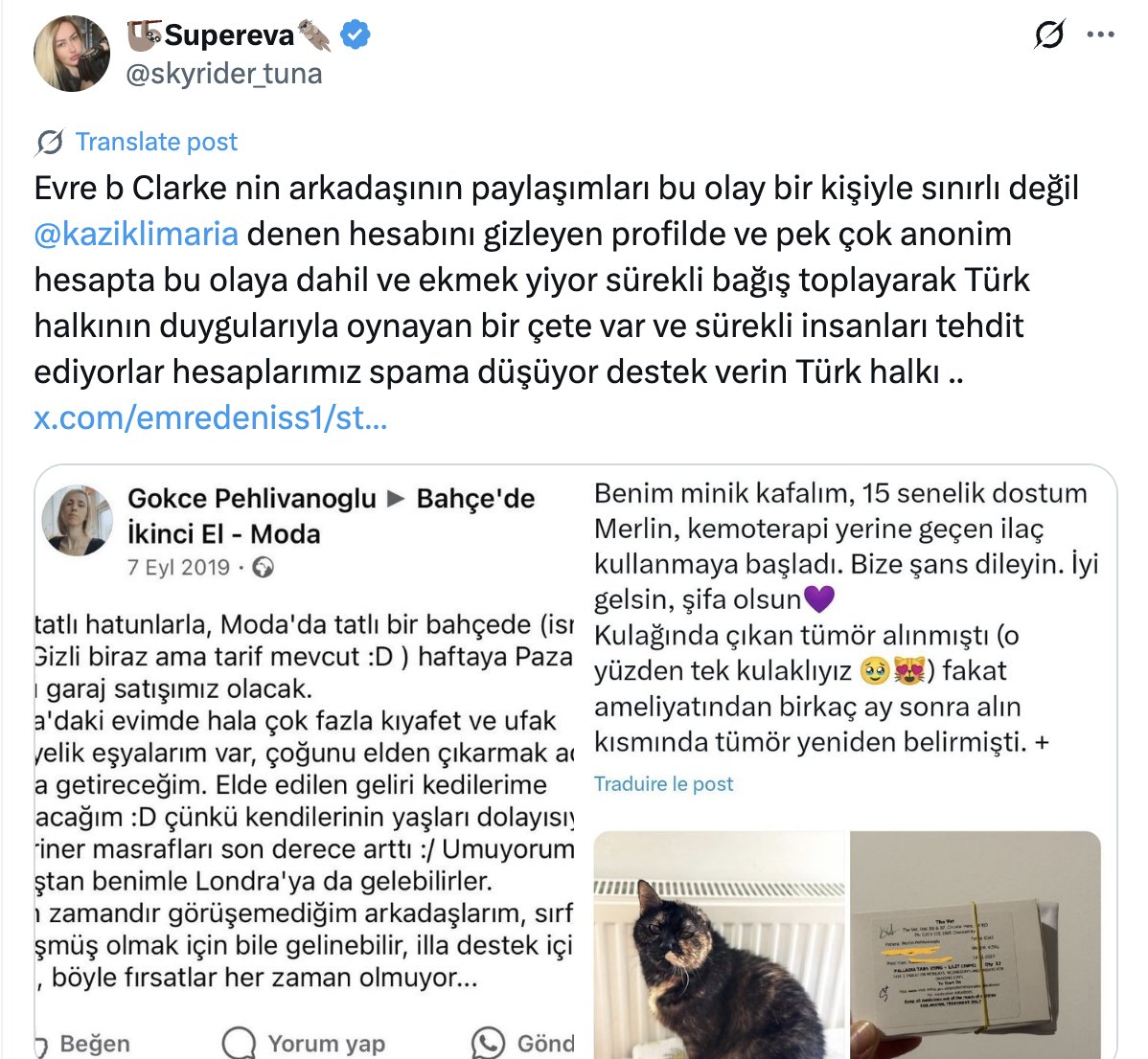 Pan_s_Labyrinth tweet media