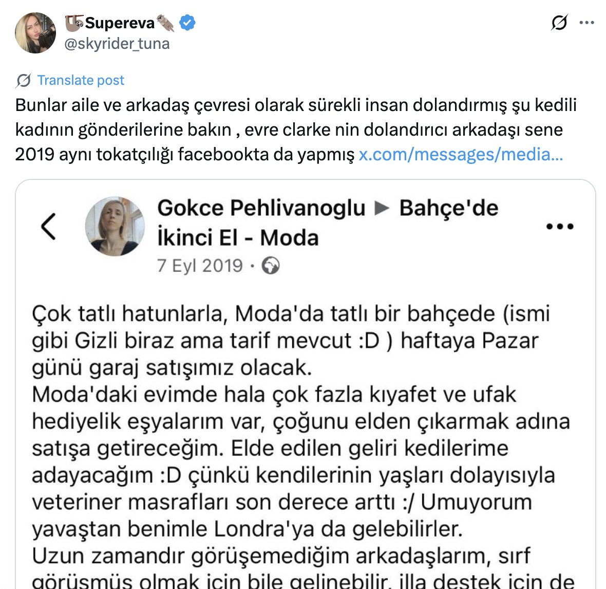 Pan_s_Labyrinth tweet media