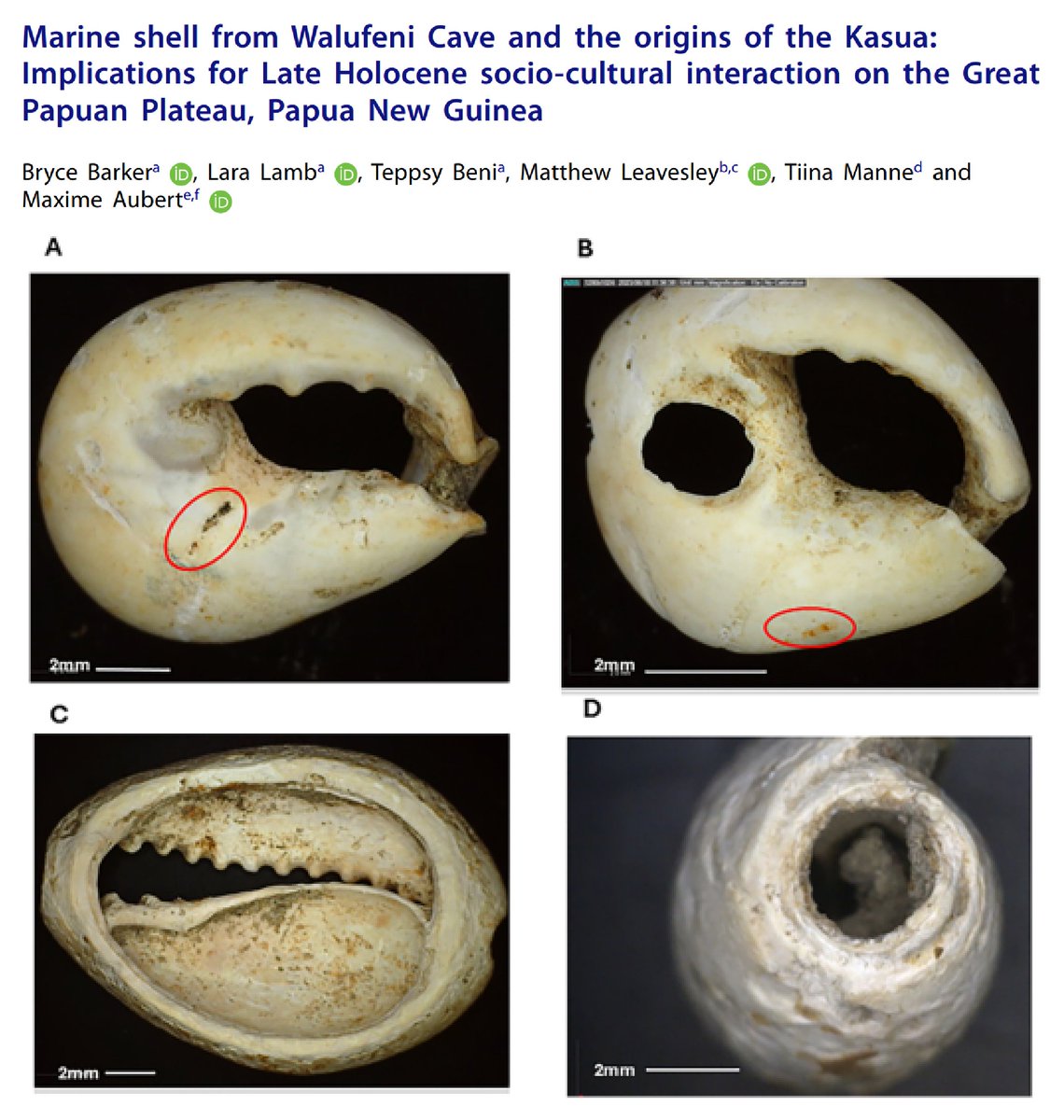 Australian Archaeology tweet media