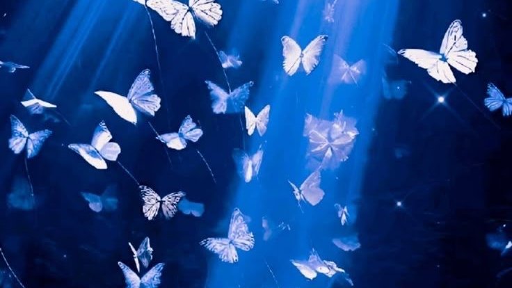 Irene Kiwia tweet media