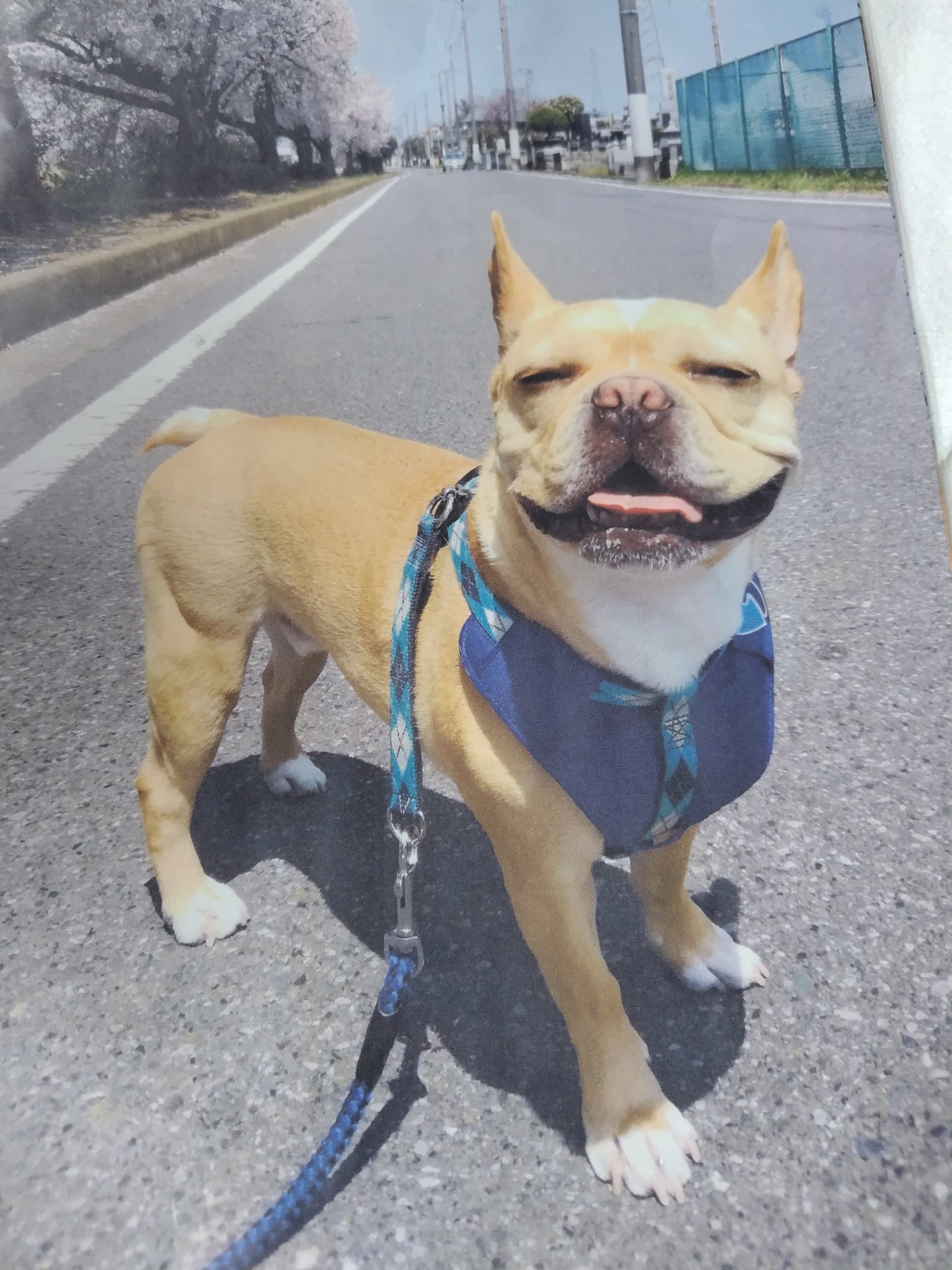 🚘️竹65(⁠´⁠(⁠ｪ⁠)⁠｀⁠） on X: 