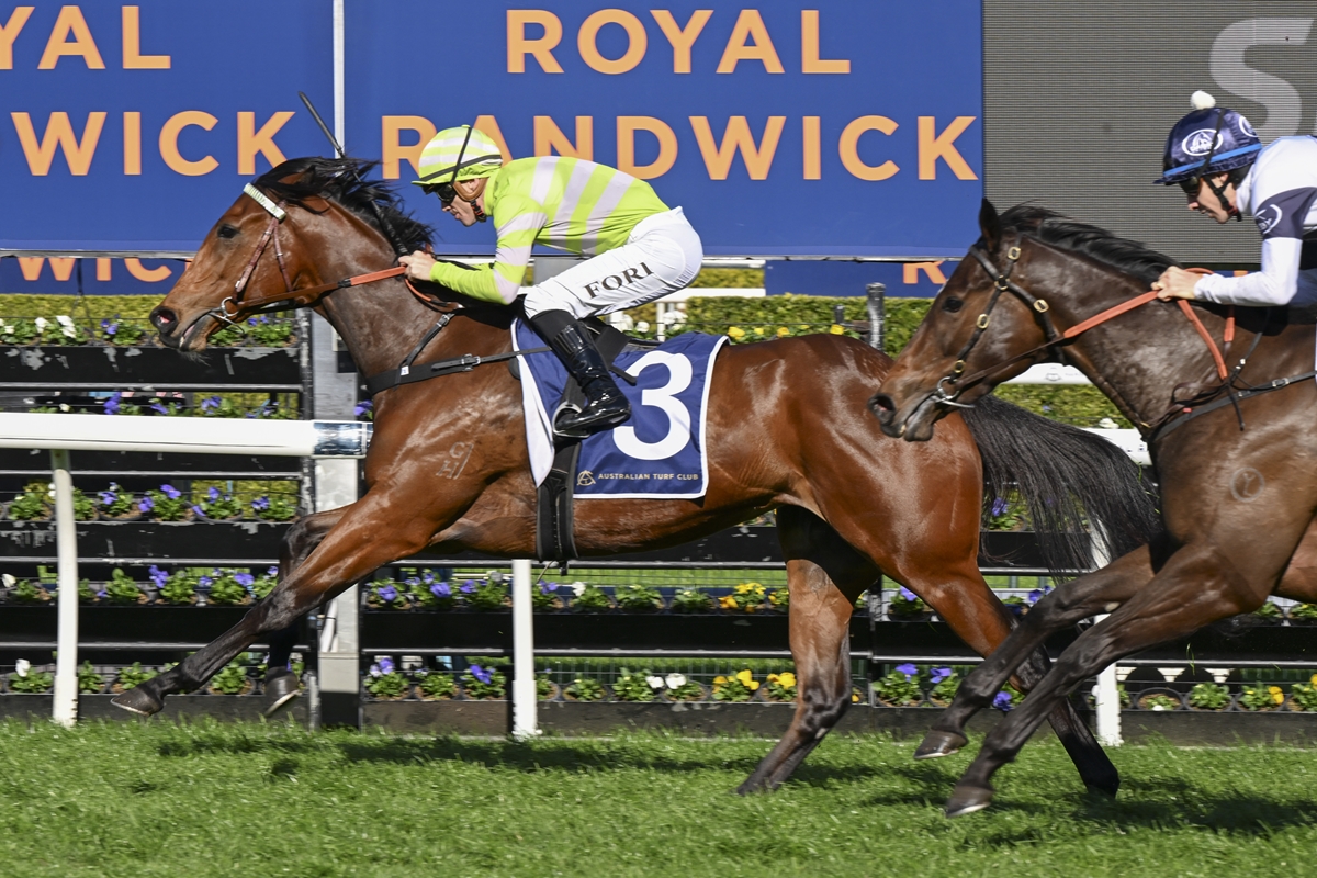 BRAD Widdup could not have summed it up better.
“It’s been an unbelievable weekend,” <a href="/hawkesburyrc/">Hawkesbury Race Club</a>'s  leading trainer said after winning the G2 Silver Shadow  at Randwick Saturday, doubling up with the Goulburn Cup yesterday provincialracingnsw.com.au/post/widdup-s-…