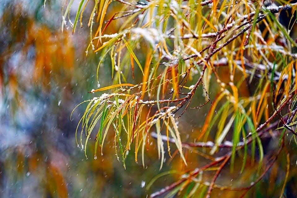 "Зун дуусав.
Ийм богинохон.
Зуун жил ч
Ингэж л замхарна ..." ~Ли Бай 📚📝

ӨГЛӨӨНИЙ МЭНД ...