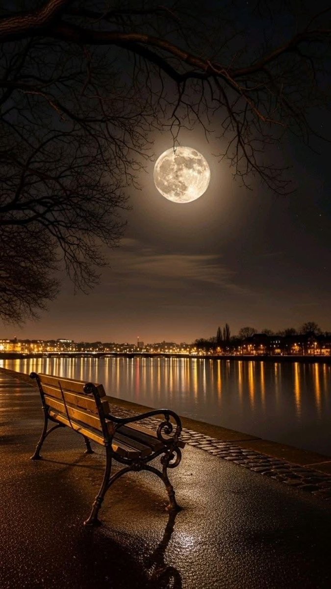 ♡

.

انتصف الليل  وسكن كل شيء إلا الأفكار تمشي داخلك كخطوات لا تُرى تطرق أبواب الذاكرة وتعيد على القلب ما تحاول نسيانه 

. 
🪽ೄྀ #ĴỮŘI ೄྀ🪽