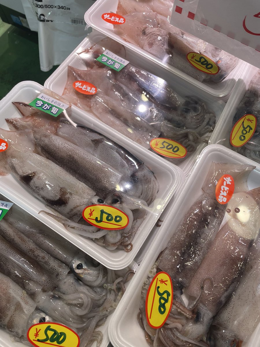 今日は鳥取県産真アジ　鮮度抜群です♪
#築地日進
#築地日進限定
#鳥取県産真アジ
#北海道産サンマ
#12尾サイズ
#青森県産スルメイカ
#刺身用スルメイカ