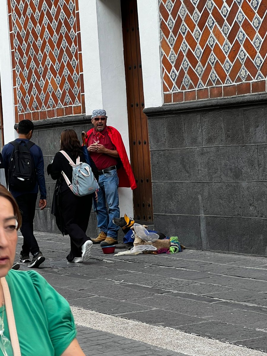 👀 Este señor se encuentra pidiendo dinero a costa de sus perros en pleno Centro Histórico de #Puebla
<a href="/IBAGobPue/">Instituto de Bienestar Animal PUE</a> <a href="/MicheleIslasG/">Michele Islas Ganime</a> <a href="/AmbienteGobPue/">Secretaría de Medio Ambiente</a> <a href="/PueblaAyto/">Gobierno de la Ciudad de Puebla</a>
