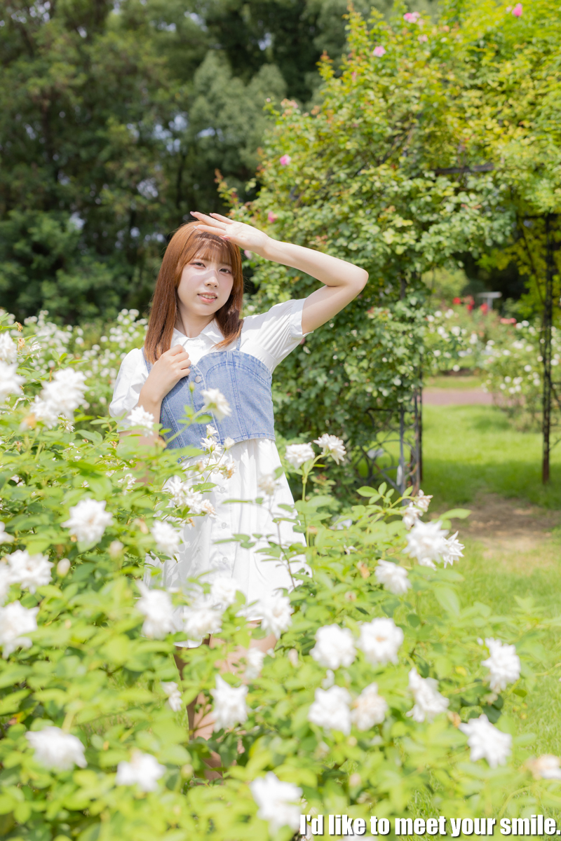 250814
リクエスト撮影＠京都植物園
ゆい（<a href="/tsky_ui/">ゆい</a>）さん　その1
#リク撮 #個撮 #ロケ撮影 #京都 #京都植物園
#ヒマワリ #向日葵 #ゆい #私服
#ポートレート #ポートレートモデル