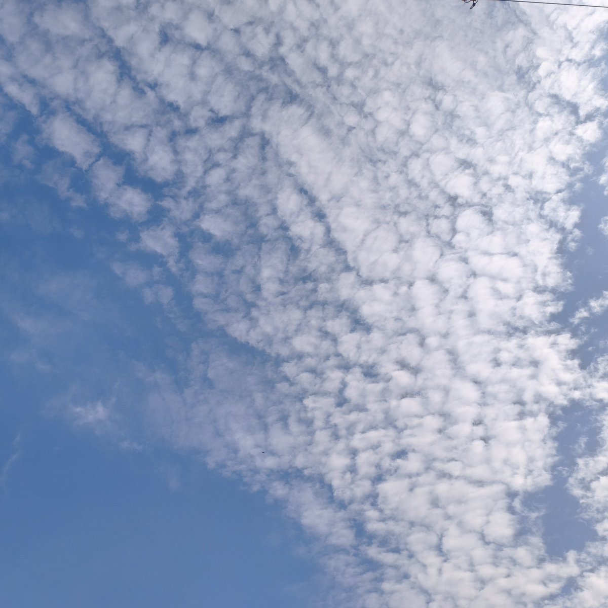 空

2025.08.25 / phone