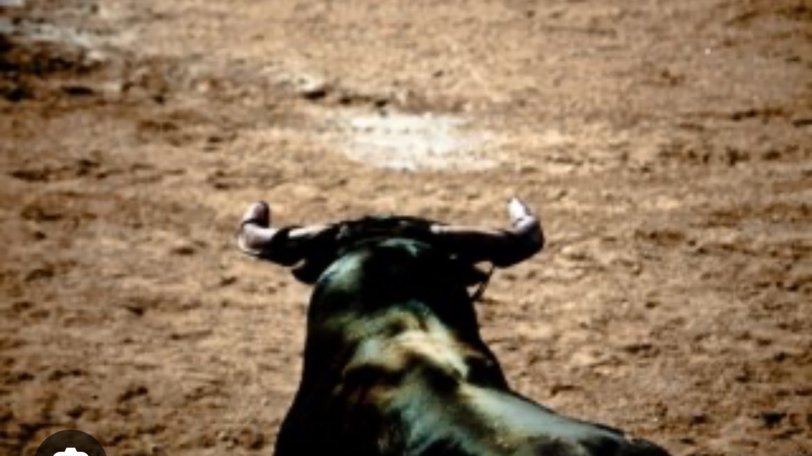 abelio's tweet image. Ei toro!