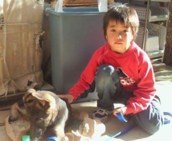 レン😦 tweet media