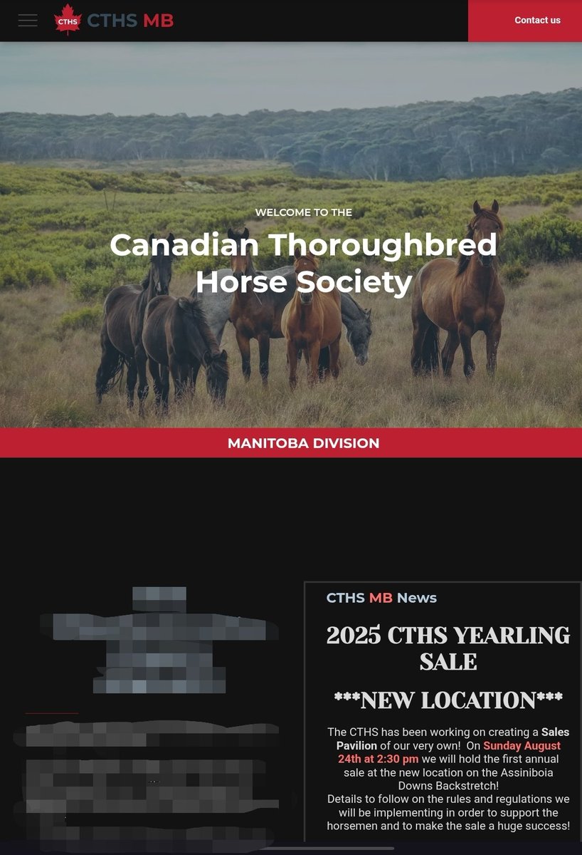 Breed2Win's tweet image. MB sale dominated by UNRACED sire, Speculating @AssiniboiaDowns. 37.5% of sale by him. 
Sire has only 1 winner in 2 crops to race!  
Plus 8 of 11 unruly males offered today already gelded!
Only 10% start/ 5% win!  
Shame on the breeders creating junk like this!
BUYERS WISE UP!