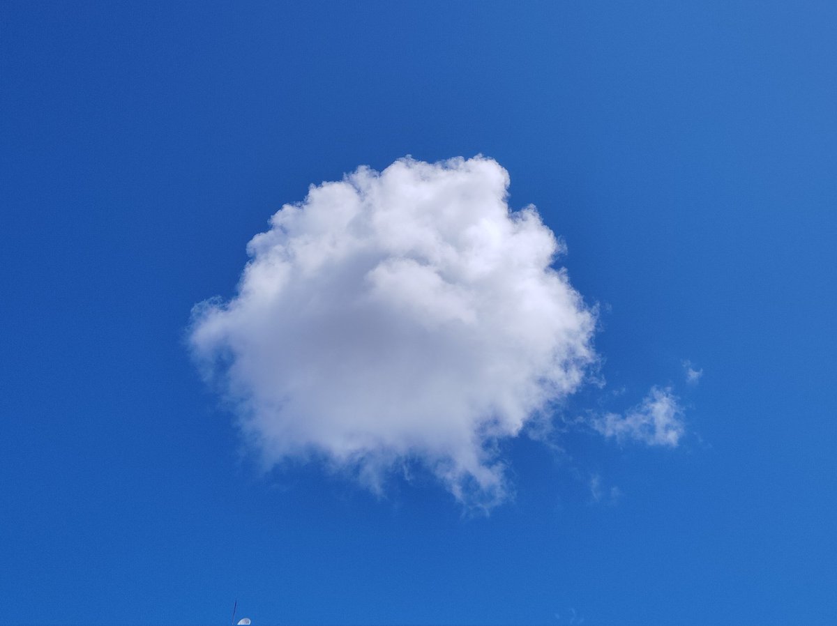 エイみたいなクラゲみたいな🌥
8月ラストの週　fight✨👍