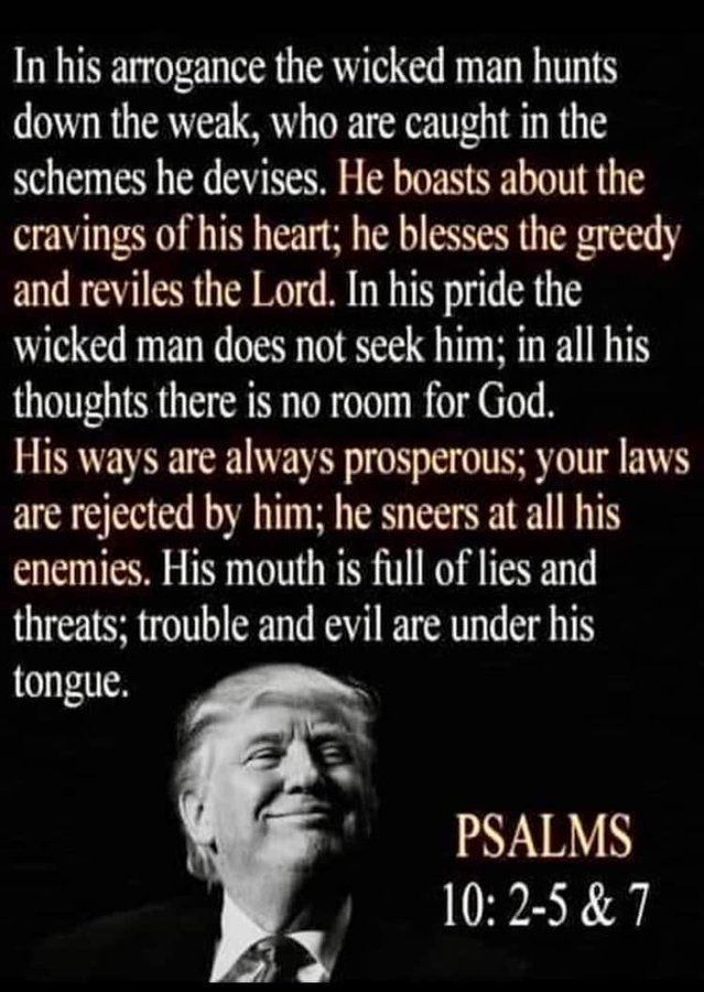 Judy (@ink8judy) on Twitter photo <a href="/bennyjohnson/">Benny Johnson</a> 'DON THE CON'. <a href="/bennyjohnson/">Benny Johnson</a> 'DON THE CON'.