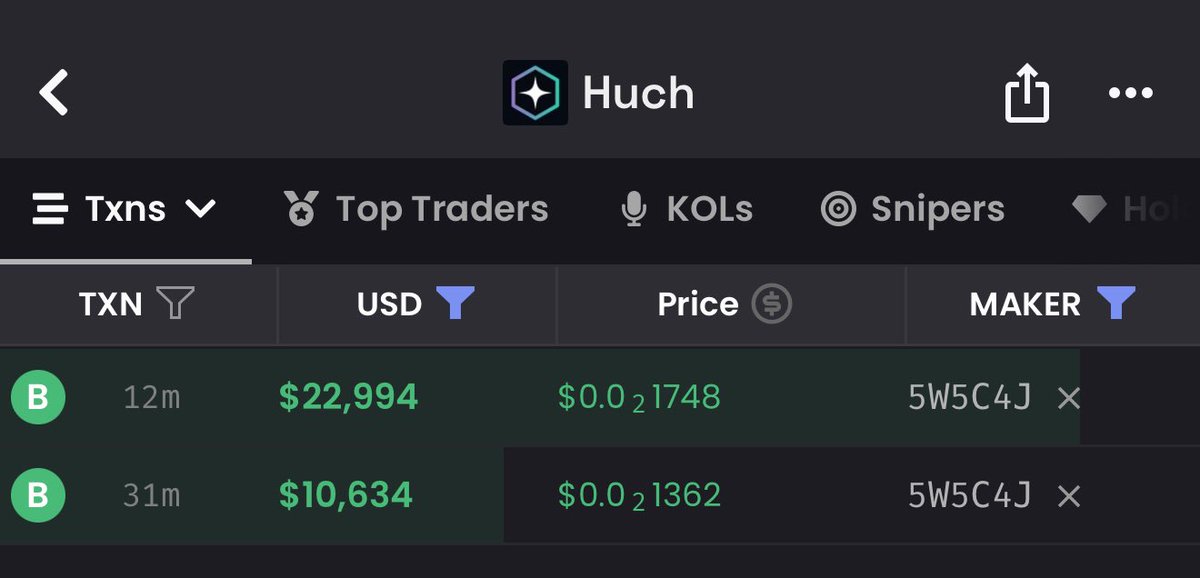 Big wallets buying 1% of $huch