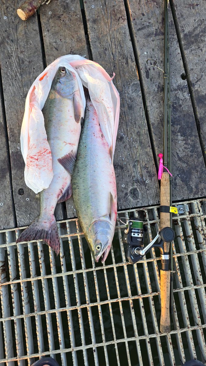 Такое воскресенье