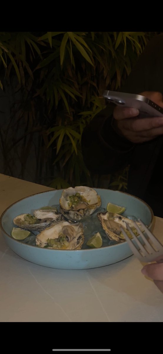 aqhxyr's tweet image. Bibi