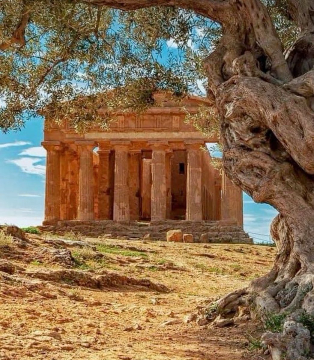 Explain your ancestry with four images: