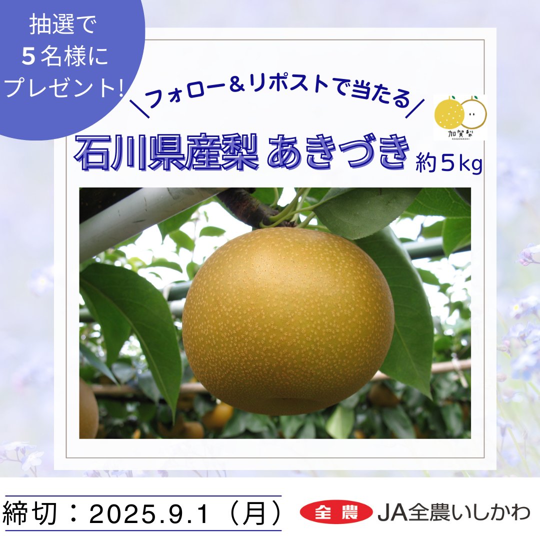 全農広報部 食農応援 (@shokuikuzennoh) on Twitter photo 「#あきづき」プレゼント企画
石川県産梨「あきづき」(約5kg)が当たるキャンペーンを開催‼️
果肉は緻密で密度が高く、酸味は少なめ!
甘くてみずみずしい梨です💛
抽選で5名様にプレゼント✨
応募方法
1️⃣<a href="/shokuikuzennoh/">全農広報部 食農応援</a>をフォロー
2️⃣この投稿をリポスト
〆切👉2025/9/1
#全農 #全農いしかわ 「#あきづき」プレゼント企画
石川県産梨「あきづき」(約5kg)が当たるキャンペーンを開催‼️
果肉は緻密で密度が高く、酸味は少なめ!
甘くてみずみずしい梨です💛
抽選で5名様にプレゼント✨
応募方法
1️⃣<a href="/shokuikuzennoh/">全農広報部 食農応援</a>をフォロー
2️⃣この投稿をリポスト
〆切👉2025/9/1
#全農 #全農いしかわ