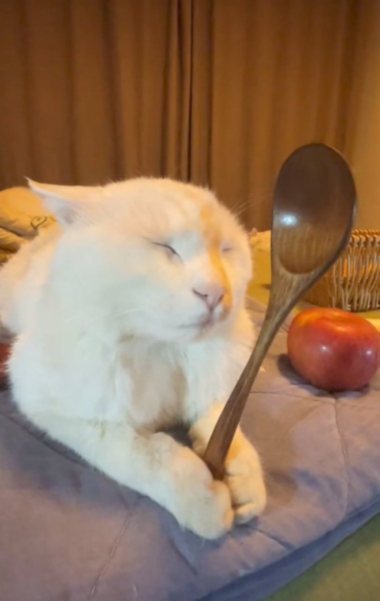 Доброе утро ☕