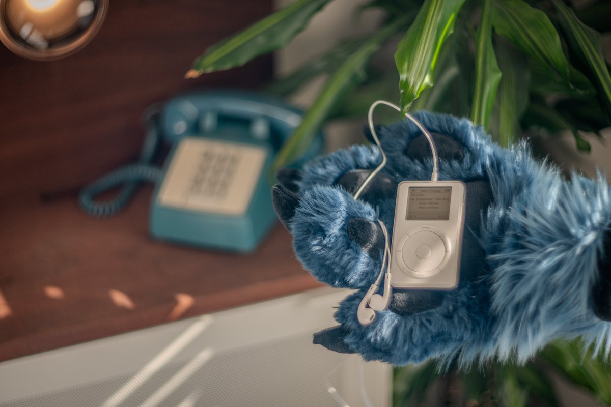 Felix Fox tweet media