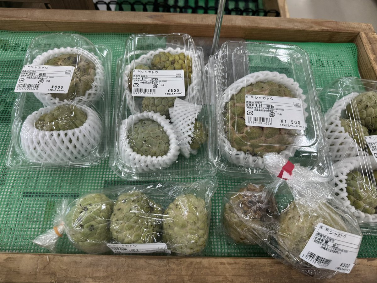 今、ゆらてぃく市場にシャカトウが並んでいます✨
とても甘くて美味しいので、興味のある方、ゆらてぃく市場に行ってみてください😋
ちなみにうちはシャカトウと全く関係ありません😊
#てぃーだ石垣島 #島バナナ #シャカトウ #ゆらてぃく市場