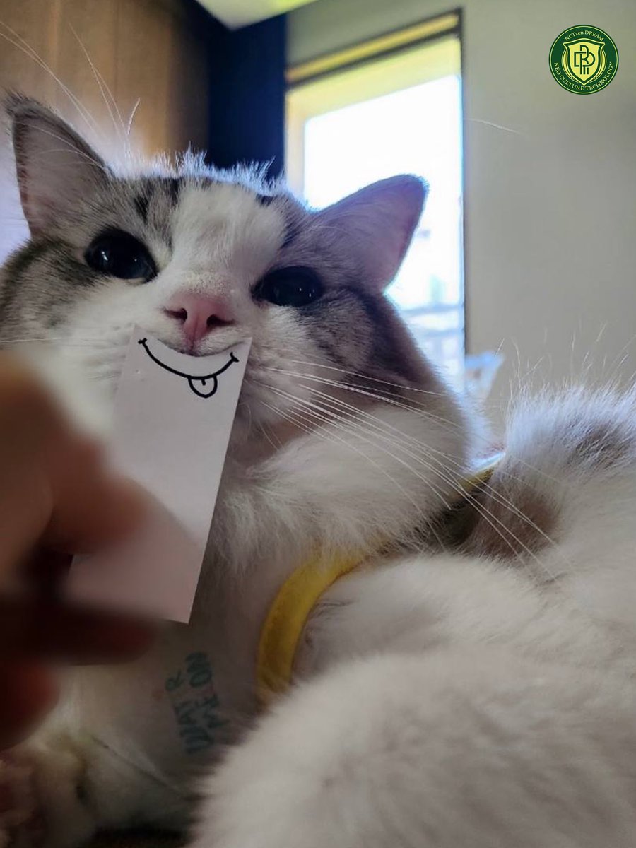 91년 더 할게요💕