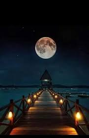 القلوب لا تُقاس بكثرة النبضات، بل بما تحمله من محبة تُضيء الدروب وتلملم الجراح ♥️ #مساء_الخير