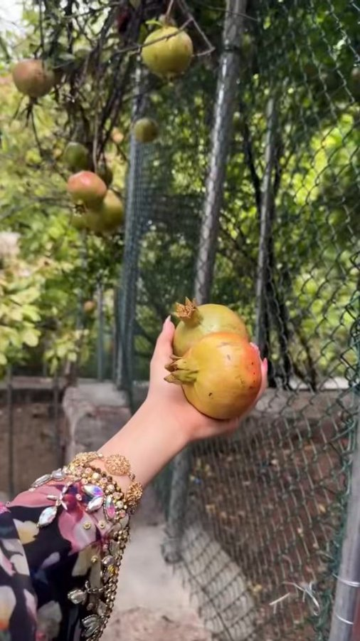 استمتعوا باللحظات الصغيرة، فهي من تصنع السعـــــــــادة..🤍📷 #صباح_الخير