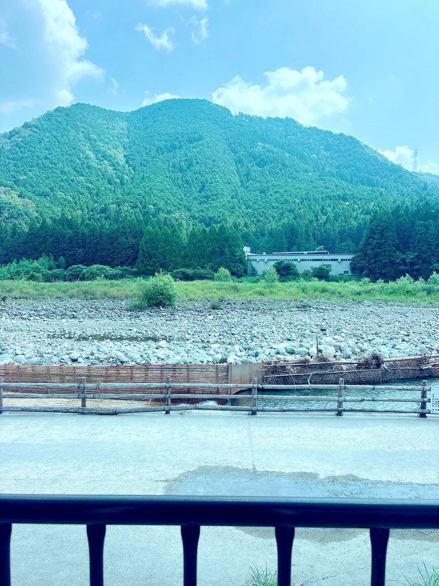 Zephyranthess's tweet image. 夏なう