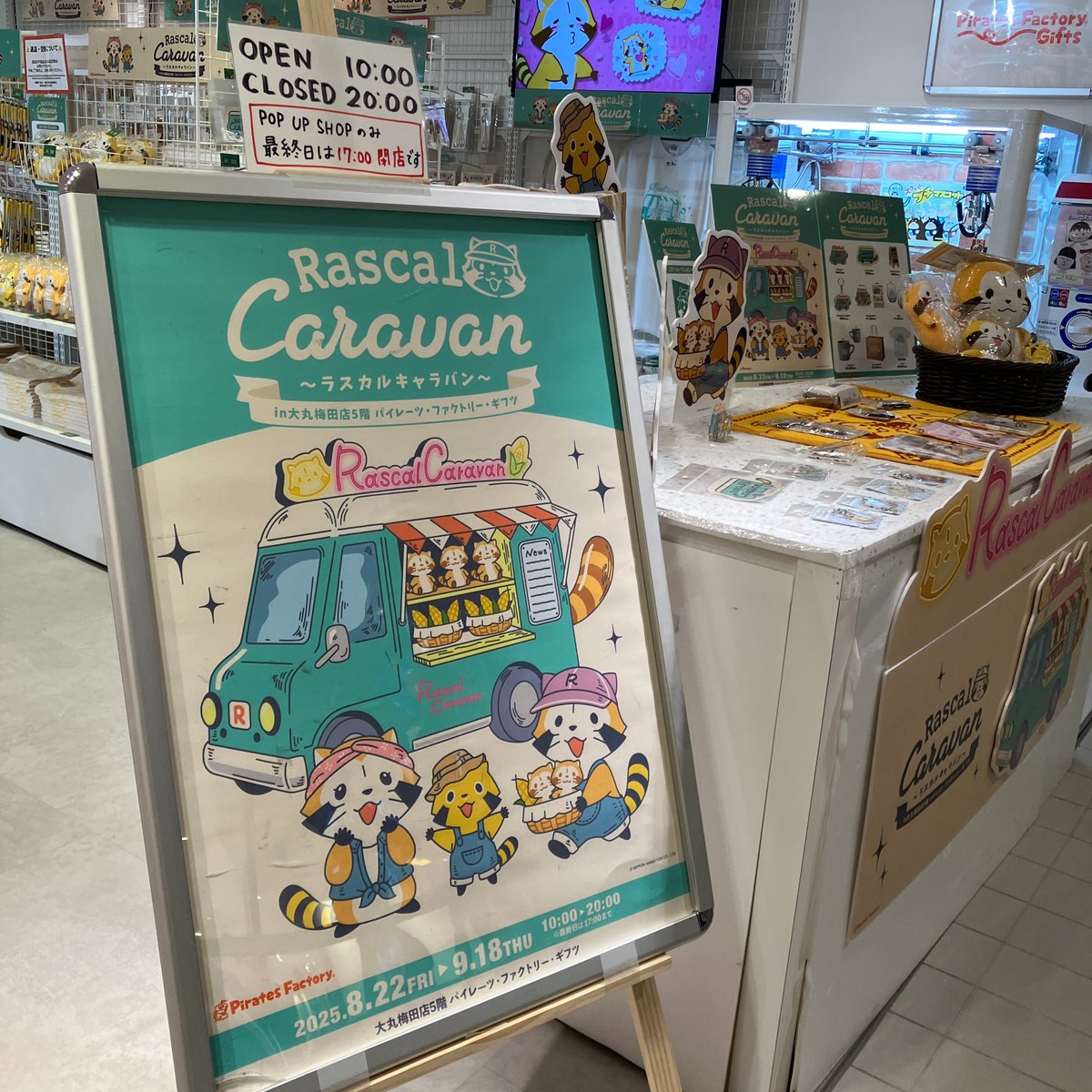 今日のチラ見せ🦝 #あらいぐまラスカル のPOP UP ＃ラスカルキャラバン