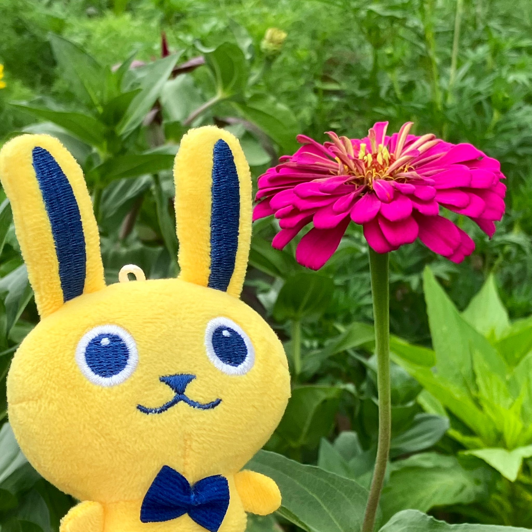 花うさぎ 花兎｜株式会社キタンクラブ