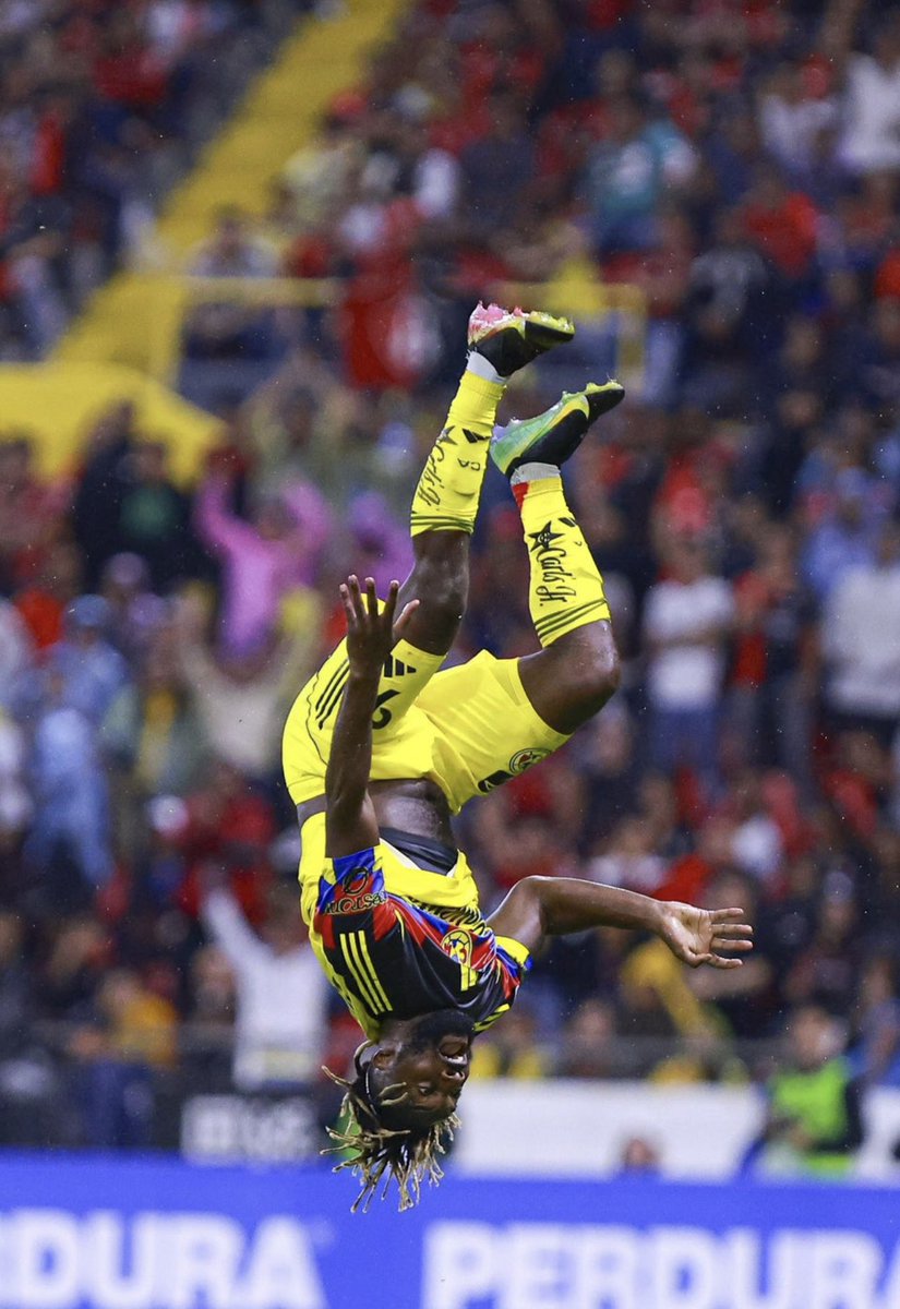 DavidFaitelson_'s tweet image. Sin palabras…